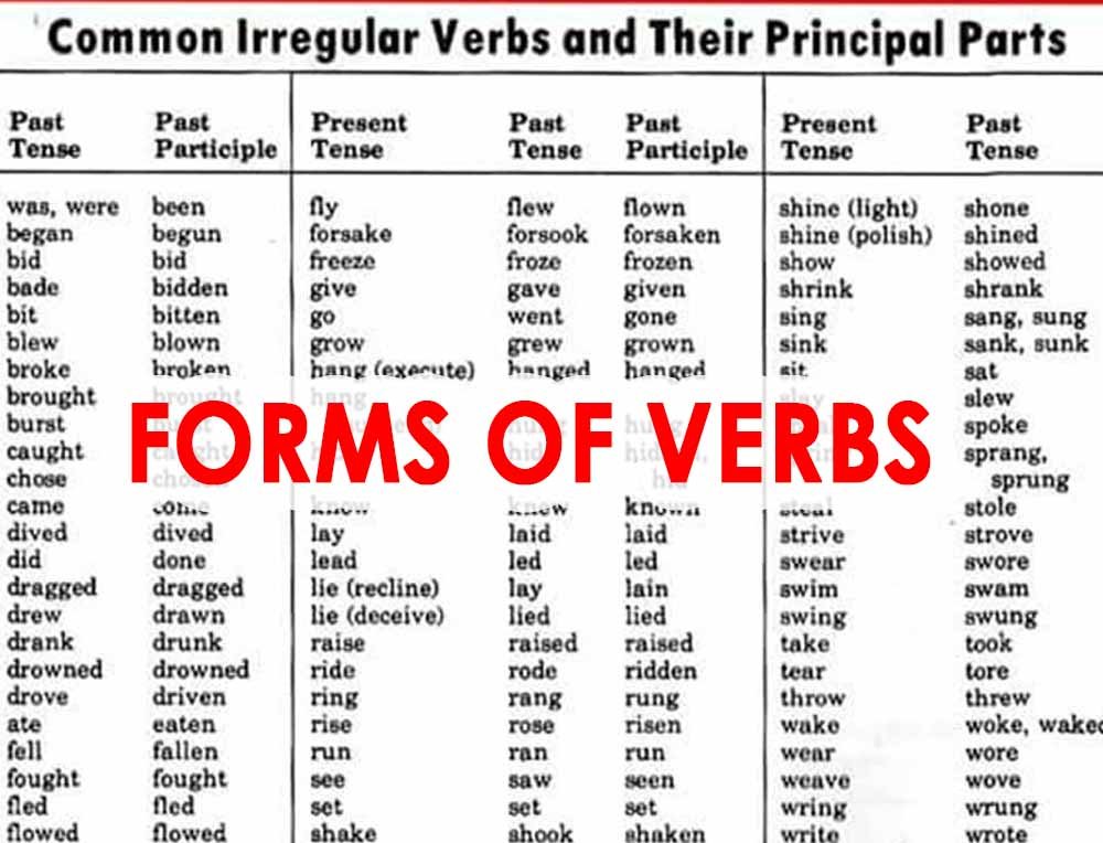 FORMS OF VERBS Career Zone Moga